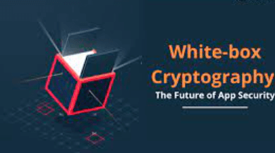 How the concept of White-box cryptography is very successful in improving the features of the application security concept?