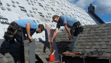 Regular Roof Inspections