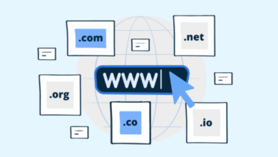 Domain Extensions Explained