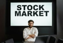 executive sector analysis report