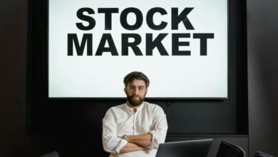 executive sector analysis report