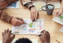 sector development report analysis