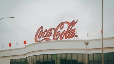 digital solutions 8002564646 designs