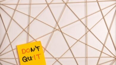 network registry notes feedback