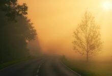 prime lane growth beam 913939000