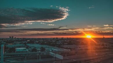 strengthen traffic pulse horizon