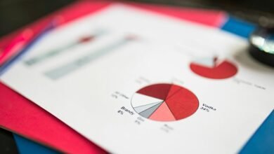 data verification report identifiers listed