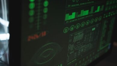 system data verification identifiers
