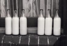technical keywords and identifiers in milk analysis