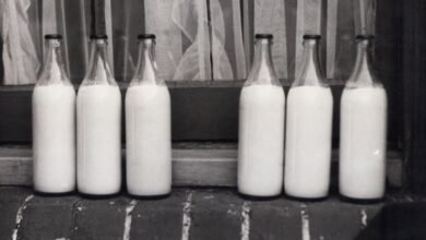 technical keywords and identifiers in milk analysis