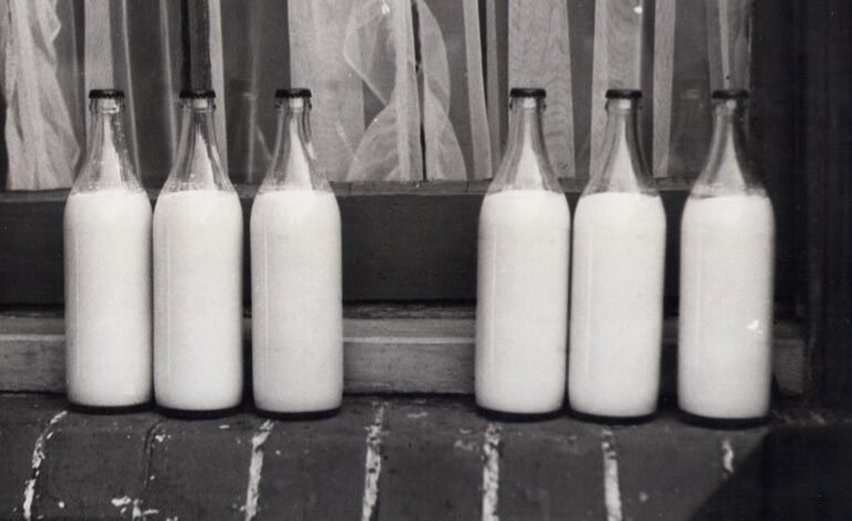 technical keywords and identifiers in milk analysis