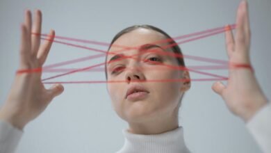 technical string identifiers and model details