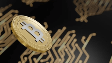 Challenges in Blockchain Auditing