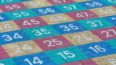 inspect specific activity records for listed numbers