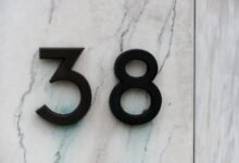 number registry insights identify patterns