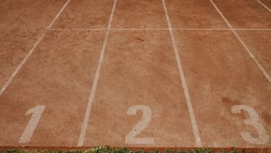 number tracking records for ten ids
