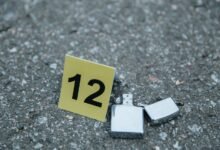 phone line access number investigation results
