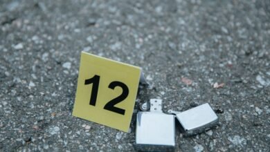 phone line access number investigation results