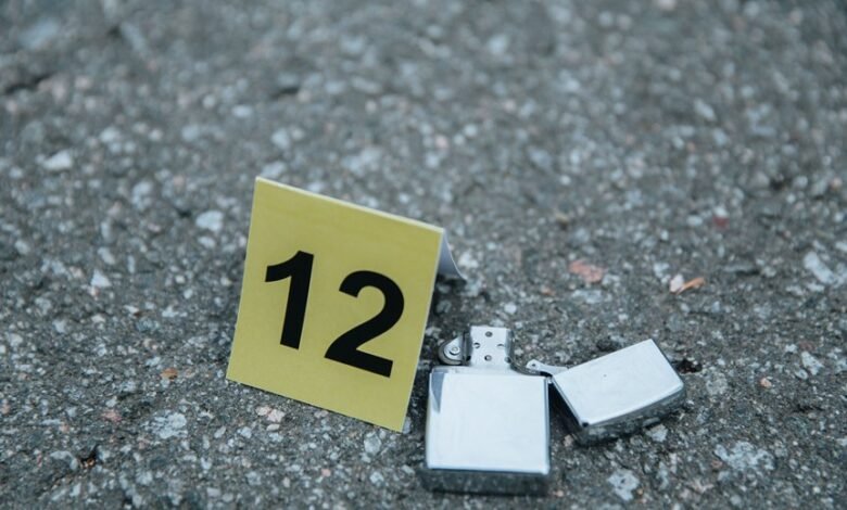 phone line access number investigation results
