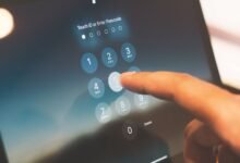 phone numbers for identity lookup