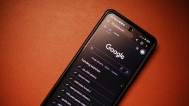 phone numbers lookup results summary