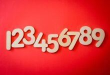 unknown numbers lookup report details