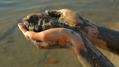 Top Benefits of Dead Sea Mud for Healthy Skin